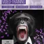 Premiere Pro Vorlagen Bewundernswert Premiere Pro Video Training