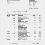 Presseausweis Vorlage Schönste Einverständniserklärung Patientendaten Muster Einverst