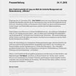 Pressemitteilung Schreiben Vorlage Inspiration 11 Aufbau Pressemitteilung