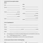 Pressespiegel Vorlage Erstaunlich Downloads Für Tageseltern