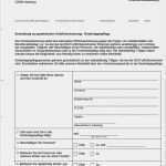 Pressespiegel Vorlage Schönste Downloads Für Tageseltern