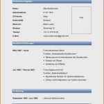 Prezi Vorlage Beste 12 Lebenslauf Mit Powerpoint