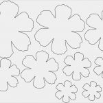 Prickeln Vorlagen Kostenlos Luxus Hobbyplotter Kreativebastelideen Blütenkugel