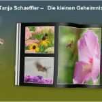Print Css Vorlage Best Of Saxoprint Frompo 1