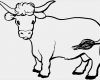 Print Css Vorlage Erstaunlich Cow Coloring Page Dr Odd