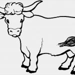 Print Css Vorlage Erstaunlich Cow Coloring Page Dr Odd
