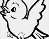 Print Css Vorlage Großartig Bird Coloring Pages Dr Odd