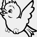 Print Css Vorlage Großartig Bird Coloring Pages Dr Odd