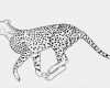 Print Vorlagen Erstaunlich Free Printable Cheetah Coloring Pages for Kids