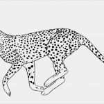 Print Vorlagen Erstaunlich Free Printable Cheetah Coloring Pages for Kids