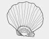 Print Vorlagen Erstaunlich Free Printable Seashell Coloring Pages for Kids