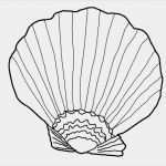 Print Vorlagen Erstaunlich Free Printable Seashell Coloring Pages for Kids
