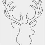 Print Vorlagen Erstaunlich Stag Head Pattern Use the Printable Outline for Crafts