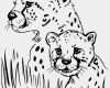 Print Vorlagen Luxus Free Printable Cheetah Coloring Pages for Kids