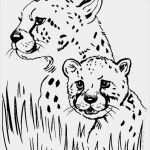 Print Vorlagen Luxus Free Printable Cheetah Coloring Pages for Kids