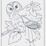 Prinzessin Laterne Vorlage Elegant Malvorlagen Basteln Ziffermalen Malen Nach Zahlen 77