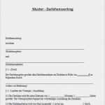 Privat Darlehensvertrag Vorlage Einzigartig Vorlage Privater Darlehensvertrag Word Erstaunlich Geld