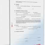 Privat Vertrag Vorlage Großartig Küchenverkauf Privat Vertrag Muster – Srcapi