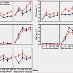Privatdarlehen Vorlage Word Hübsch Bewerbungsschreiben 2016 Vorlage Bewerbung Vorlage Open