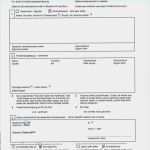 Private Krankenversicherung Kündigen Vorlage Wunderbar Aufenthaltsgenehmigung Türkei