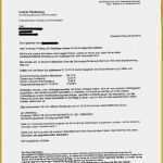 Private Mahnung Vorlage Cool 12 2 Mahnung Muster