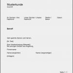 Privater Geschäftsbrief Vorlage Word Einzigartig Passt Gut Zum thema