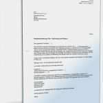 Privater Kfz Kaufvertrag Vorlage Einzigartig Minderung Des Kaufpreises Muster Vorlage Zum Download