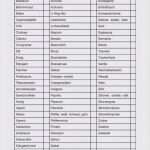 Privatkredit Vorlage Word Süß Wochenplan Essen Vorlage