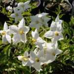 Privatkreditvertrag Vorlage Schön Un’ Estate Piena Di Colorate Novità