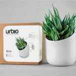 Privatkreditvertrag Vorlage Schönste Urbio Il Giardino Verticale Magnetico