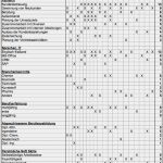 Pro Und Contra Liste Beziehung Vorlage Bewundernswert Zielgruppenbewerbung Turbo Zum Traumjob