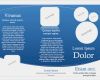 Produkt Flyer Vorlage Großartig Blanko Flyervorlage Mit Word