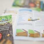 Produkt Flyer Vorlage Neu Wunderbar Produkt Flyer Bilder Bilder Für Das Lebenslauf