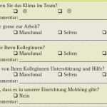 Produkt Fragebogen Vorlage Genial Produkt Fragebogen Vorlage Fabelhaft Kontrollphase I