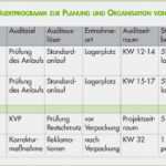 Produktaudit Checkliste Vorlage Inspiration Produktaudit Im Zusammenhang Mit Systemaudit Und Prozessaudit