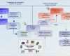 Produktaudit Vda 6.5 Vorlage Inspiration Audits Product Audit Palstat