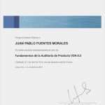 Produktaudit Vda 6.5 Vorlage Wunderbar Certificado Auditoria De Producto Vda 6 5 Instituto
