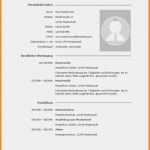 Professionelle Bewerbung Vorlage Schönste 10 Professionelle Bewerbung Vorlage