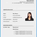 Professioneller Lebenslauf Vorlage Angenehm Professioneller Lebenslauf Vorlage Kostenlos Business