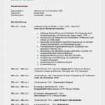 Professioneller Lebenslauf Vorlage Angenehm Professioneller Lebenslauf Vorlage Niedliche 9 Lebenslauf