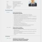 Professioneller Lebenslauf Vorlage Bewundernswert 15 Professioneller Lebenslauf Vorlage