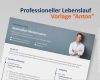 Professioneller Lebenslauf Vorlage Erstaunlich Professioneller Lebenslauf Für Erfolgreiche Bewerber Innen