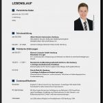 Professioneller Lebenslauf Vorlage Erstaunlich Professioneller Lebenslauf Vorlage Lebenslauf Beispiel