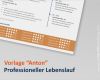 Professioneller Lebenslauf Vorlage Großartig Professioneller Lebenslauf Für Erfolgreiche Bewerber Innen
