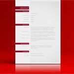 Professioneller Lebenslauf Vorlage Gut Bewerbungsanschreiben Beispiele Mit Ansprechendem Design