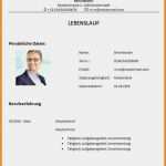 Professioneller Lebenslauf Vorlage Hübsch 14 Professioneller Lebenslauf Vorlage Kostenlos