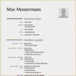 Professioneller Lebenslauf Vorlage Hübsch Professioneller Lebenslauf Vorlage – Vorlagen 1001