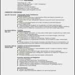 Professioneller Lebenslauf Vorlage Inspiration Professioneller Lebenslauf Vorlage – Vorlagen 1001