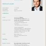 Professioneller Lebenslauf Vorlage Schönste 11 Lucken Im Lebenslauf Vorlagen123 Vorlagen123