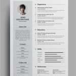 Professioneller Lebenslauf Vorlage Word Einzigartig Pin by Designshub On Resume Templates